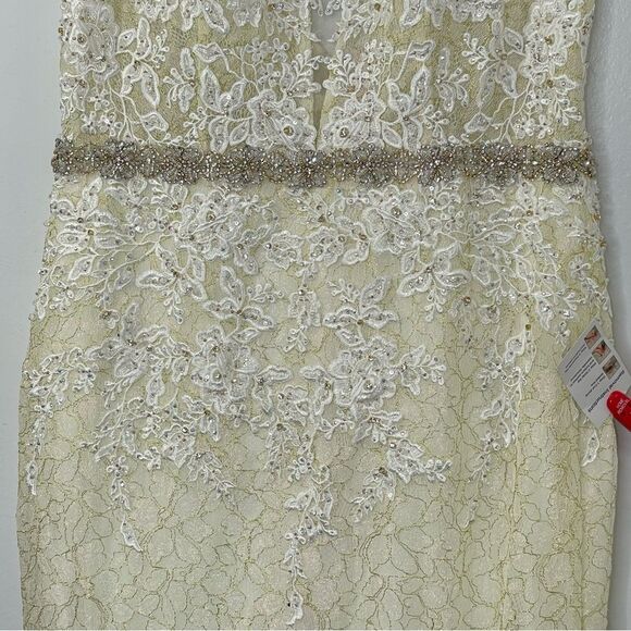 Mac Duggal 79341 Floral Appliqués Sleeveless Plunge Neck Trumpet Gown, Size 12 - Picture 6 of 13